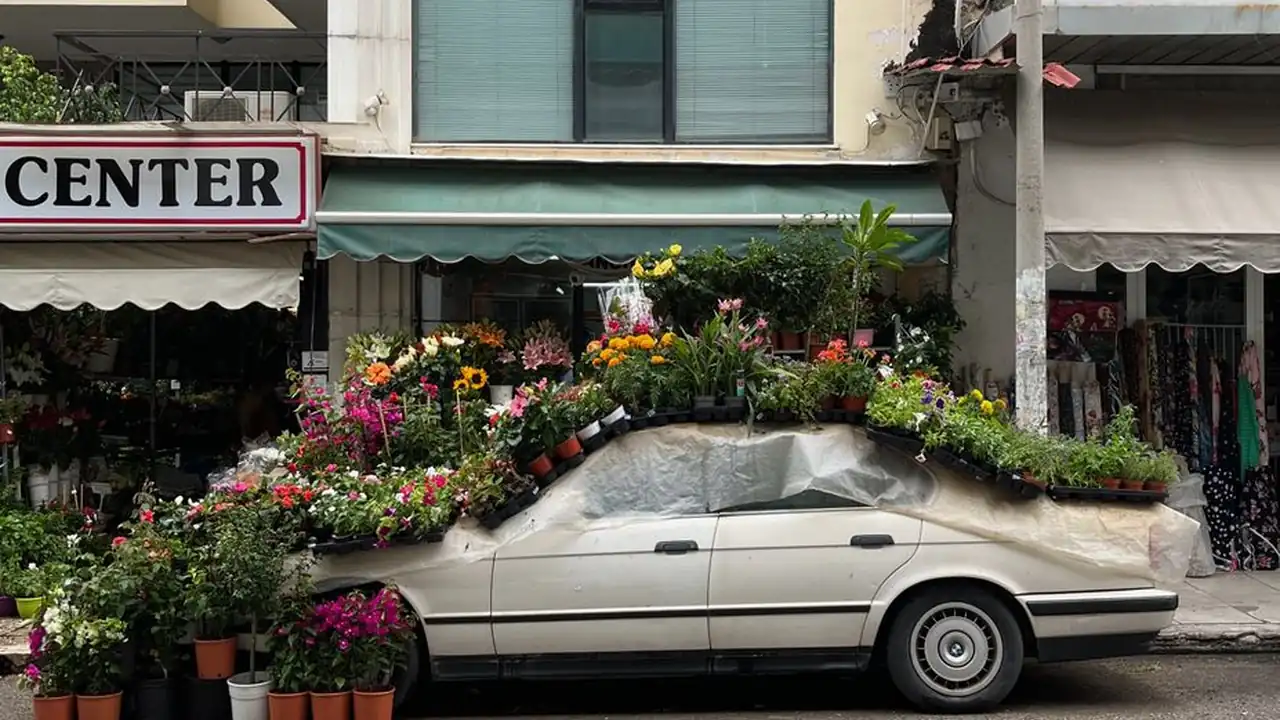 小伸进喷水在线观看探索自然奇观的便捷方式